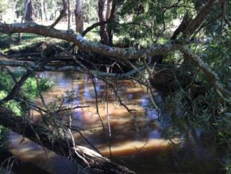 Downstream
