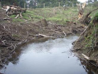 Upstream
