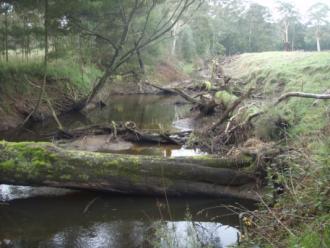 Upstream