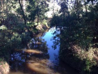 Downstream