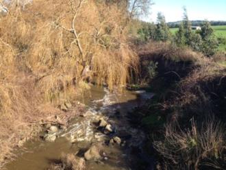 Downstream