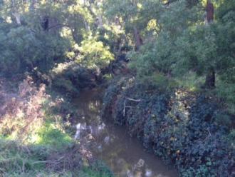 Upstream