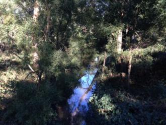 Downstream