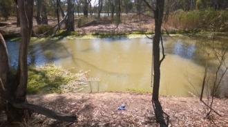 Site