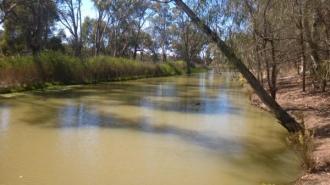 Upstream