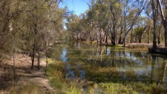 Downstream