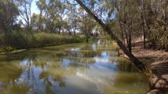 Upstream