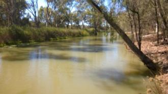 Upstream