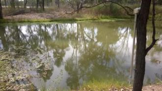 Site