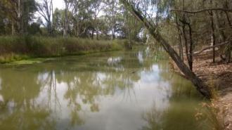 Upstream