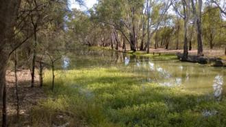 Down Stream