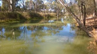 Upstream