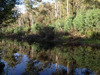 A platypus lives here too. Photo and comment from Julia Foletta.