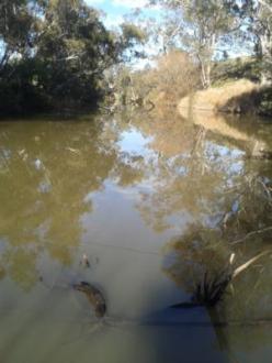 Photo upstream