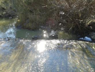 Downstream photo