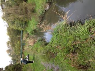 Upstream