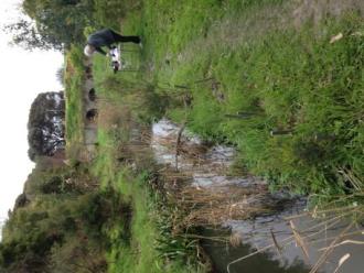 Downstream