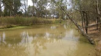 Upstream