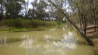 Upstream
