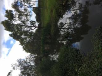 upstream
