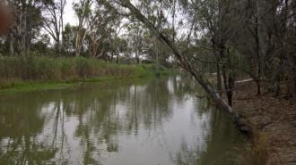 upstream