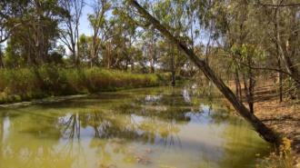 Upstream