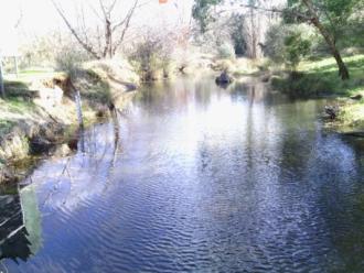 Photo upstream July 2015