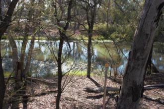 Site