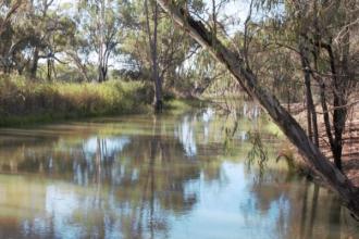 Upstream