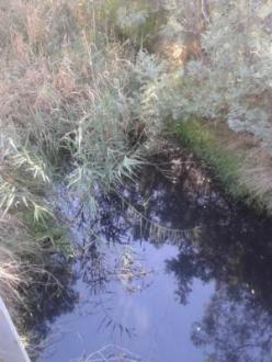DRY025 Downstream 21-3-16