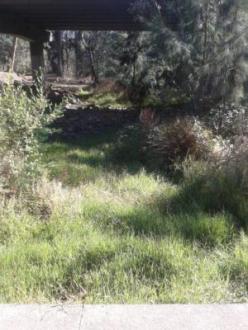 SUN015 Downstream 21-3-16