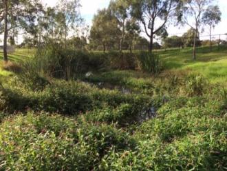 upstream