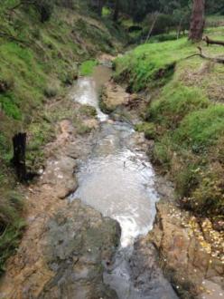 View downstream
