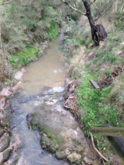 View upstream