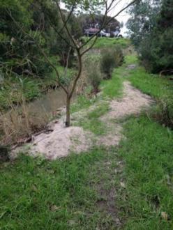 Downstream view monitoring on 9/6/16
Note sand banks from flooding