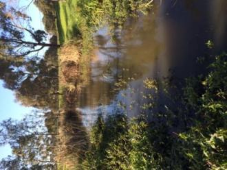 upstream