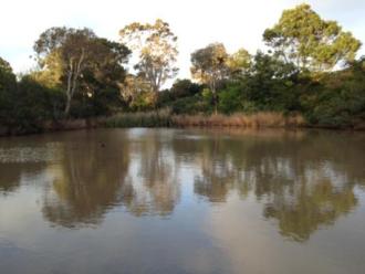 Upstream with ducks to left of dam