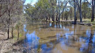 Downstream