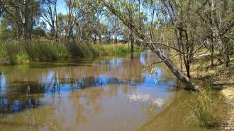 Upstream