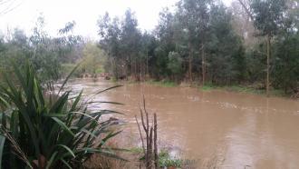 Upstream flow from water sampling site