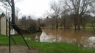 Flood waters/filling of the wetland area that has remained post previous floodings