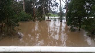 Photo of water sampling site