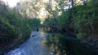 View south from beneath the bridge.