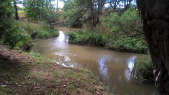 Looking downstream