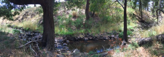 Pano_NC_LOD035_Loddon_River_at_Glenlyon_off_Loddon_Drive