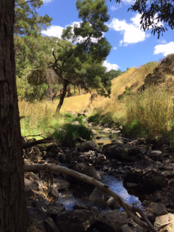 Upstream_NC_LOD053_Loddon_River_at_Glenlyon_off_Loddon_Drive