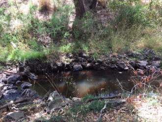 Sample_Site_NC_LOD035_Loddon_River_at_Glenlyon_off_Loddon_Drive