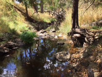 Downstream_NC_LOD035_Loddon_River_at_Glenlyon_off_Loddon_Drive