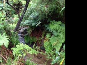 James' Reserve Water Test Site