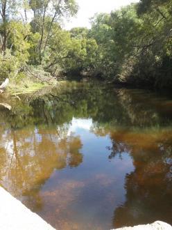 CO MOO004 Moorabool river @ Ford